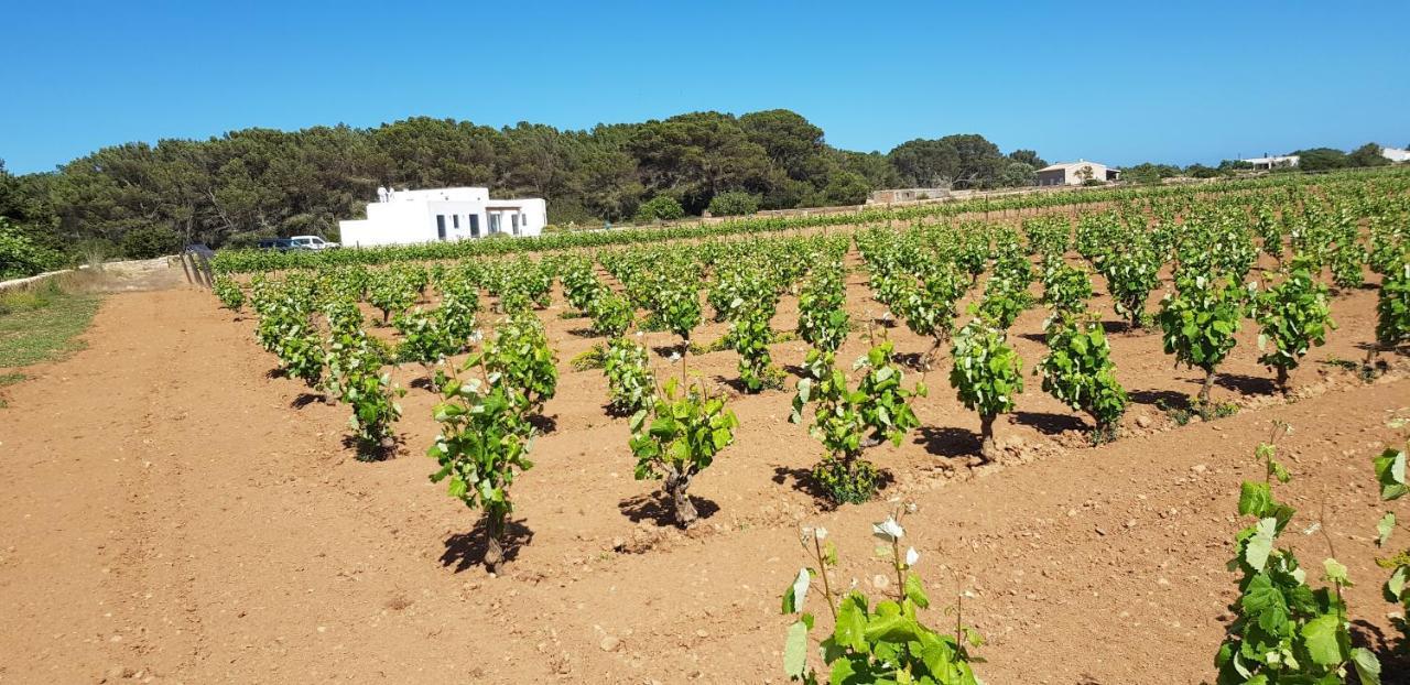 Ses Vinas De Cas Baixero Vila La Mola Exterior foto
